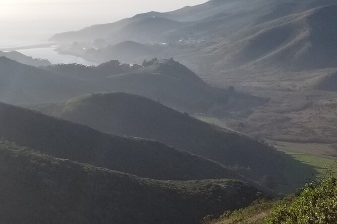 San Francisco Bay Cruise, Muir Woods and Sausalito Combo Tour - Marin County views on the way to Muir Woods