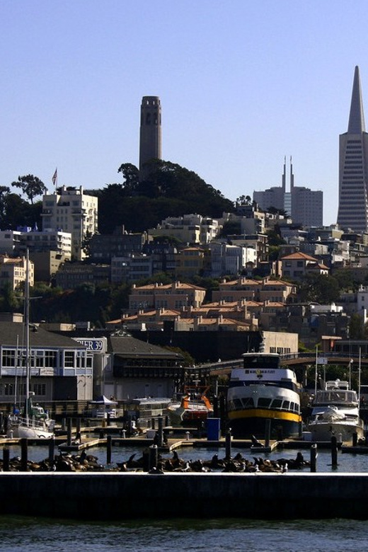 San Francisco: Hop-On Hop-Off City Bus Tour and Bay Cruise - The 60-minute Bay cruise