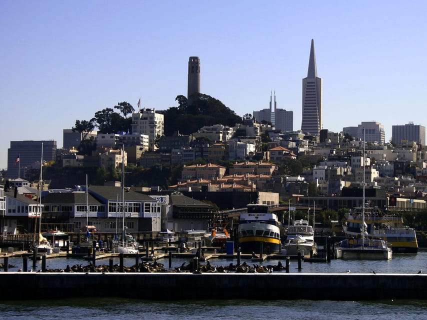 San Francisco: Hop-On Hop-Off City Bus Tour and Bay Cruise - Starting at Jefferson Street near Fisherman’s Wharf