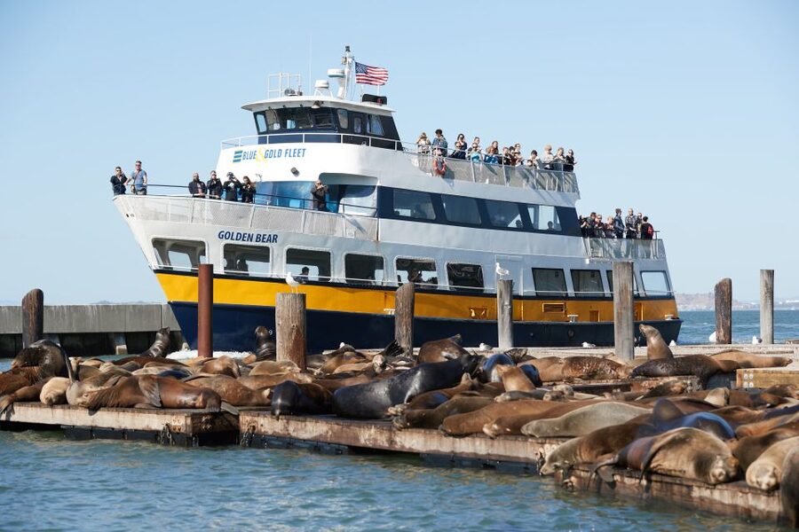 San Francisco: Inside Alcatraz Tour with Bay Cruise - How I would plan the day