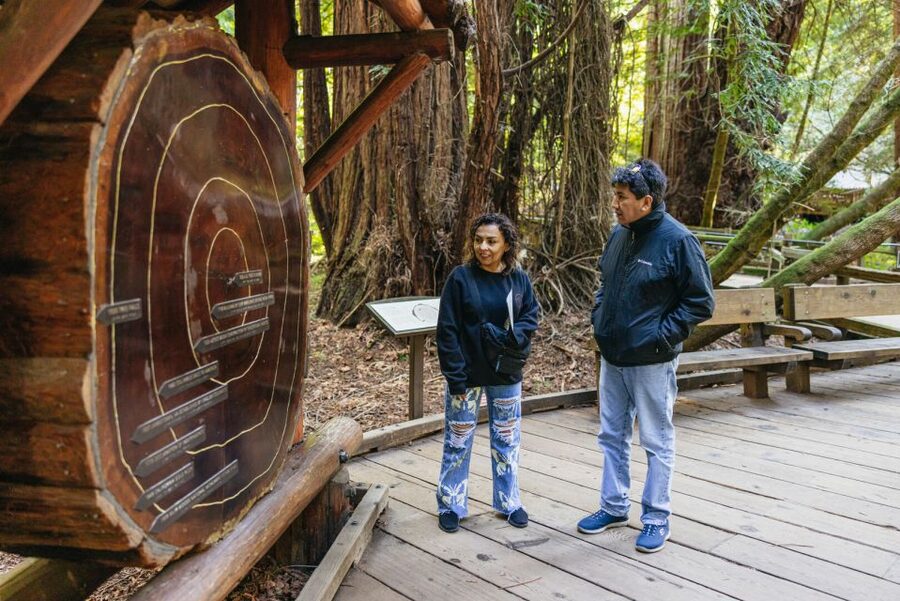San Francisco: Muir Woods, Sausalito and SF Bay Cruise - Why this combination works