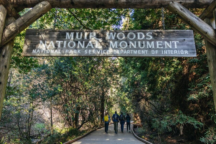 San Francisco: Muir Woods, Sausalito and SF Bay Cruise - Returning through the city to Pier 39
