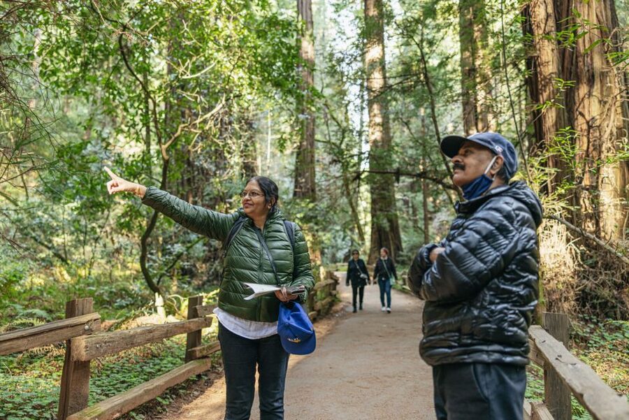 San Francisco: Muir Woods, Sausalito and SF Bay Cruise - Who gets the best value from $133?