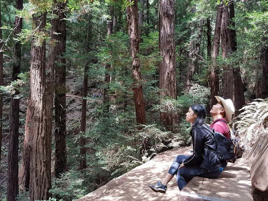 San Francisco: Muir Woods Tour & Golden Gate Bay Cruise - Crossing the Golden Gate Bridge by minibus