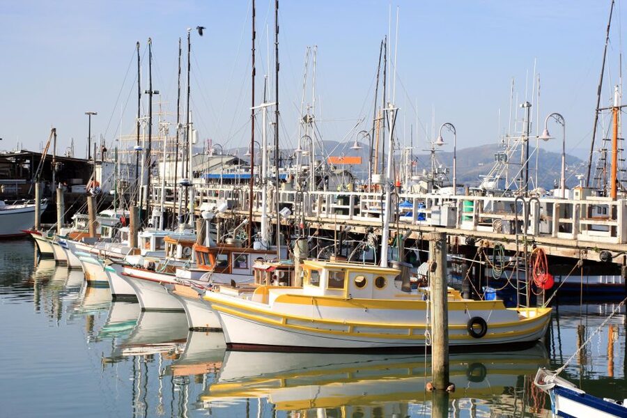 San Francisco Ultimate City Tour with Bay Cruise Option - The neighborhoods you see between stops
