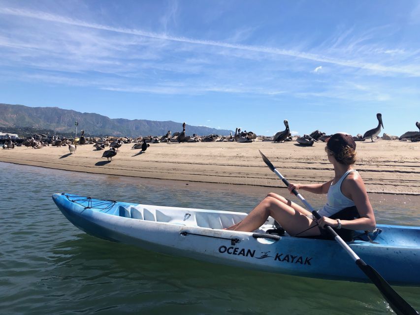 Santa Barbara: 1.5-Hour Harbor Kayak Tour - The 10-minute safety briefing and what it means for beginners