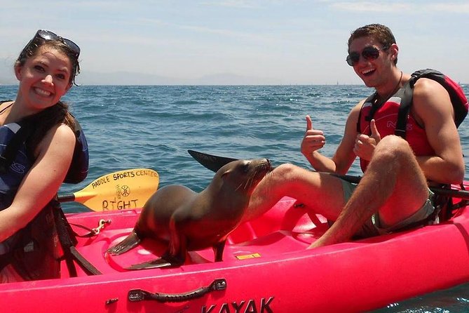 Sea Lion Kayak Tour - Santa Barbara Harbor - What the Guides Add to the Experience