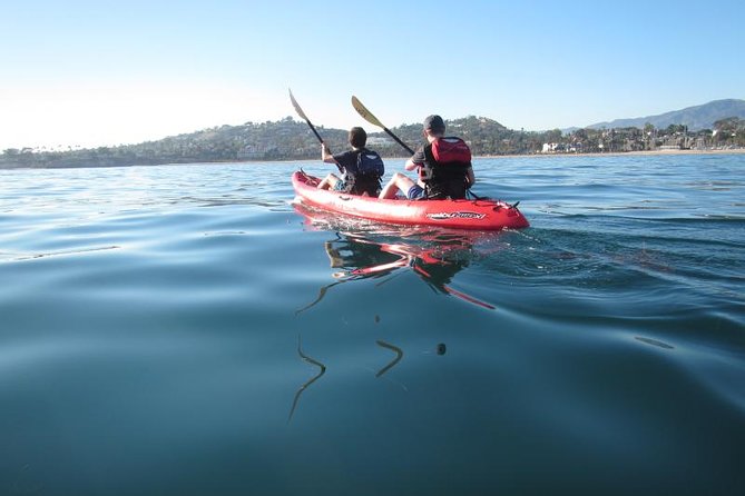 Sea Lion Kayak Tour - Santa Barbara Harbor - A Family Outing That Still Works for Adults