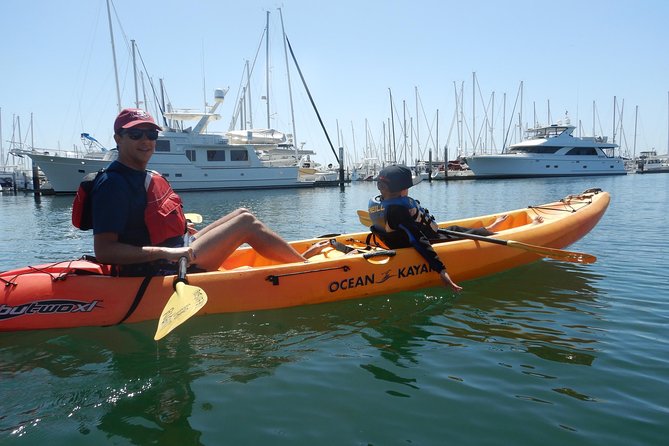 Sea Lion Kayak Tour - Santa Barbara Harbor - How the $70 Price Measures Up