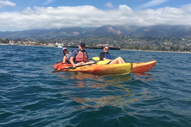 Sea Lion Kayak Tour - Santa Barbara Harbor - Wind, Weather, and the Limits of Wildlife Tours