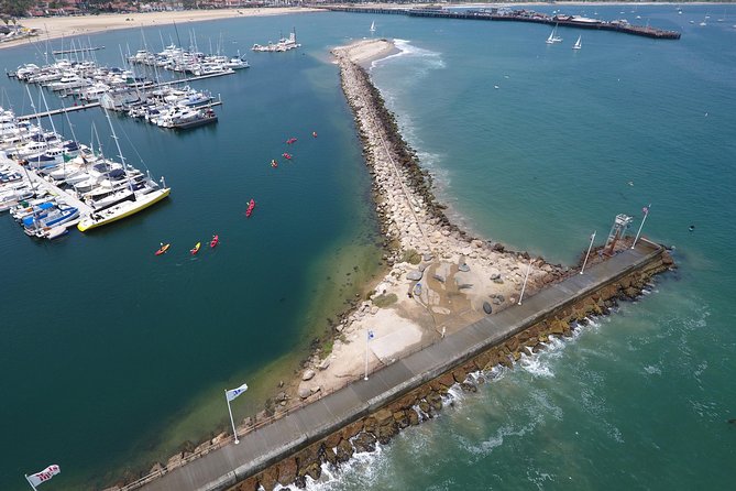 Sea Lion Kayak Tour - Santa Barbara Harbor - Paddling Through the Harbor and Toward the Sea Lions