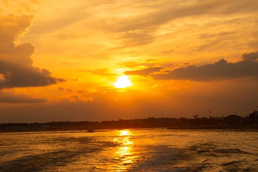 Sea Rocket Sunset & OC Harbor Cruise in Ocean City, MD - Hunting for bottlenose dolphins