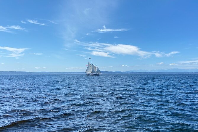 Seattle Sailing Harbor Tour - The Seattle waterfront from a slower angle