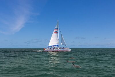 St. Augustine Dolphin Watch and Historical Harbor Tour