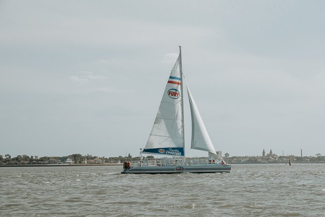 St. Augustine Dolphin Watch and Historical Harbor Tour - Timing, weather, and simple preparation