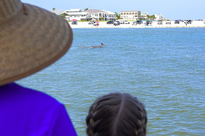 St. Augustine Dolphin Watch and Historical Harbor Tour - What the crew adds to the experience