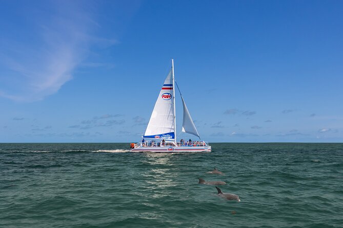 St. Augustine Dolphin Watch and Historical Harbor Tour - Why the catamaran setup works well