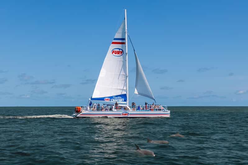 St. Augustine: Dolphin Watching Harbor Tour with Drinks - Key points to know before you go
