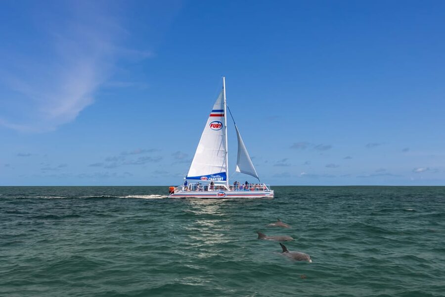 St. Augustine: Dolphin Watching Harbor Tour with Drinks - Free drinks, snacks, and onboard comfort
