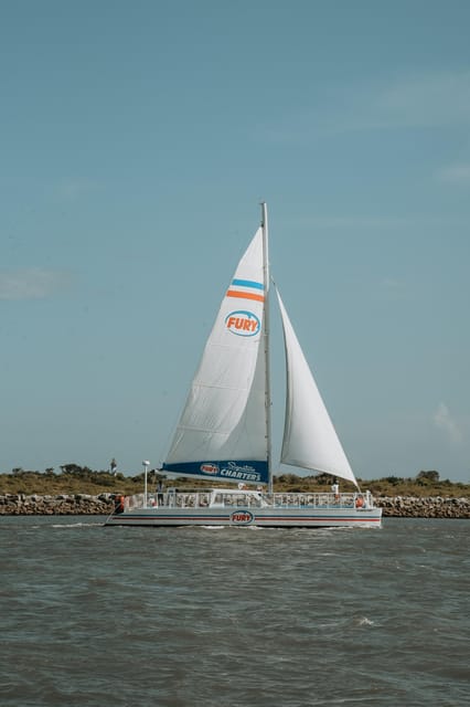 St. Augustine: Dolphin Watching Harbor Tour with Drinks - Who will enjoy this cruise most?
