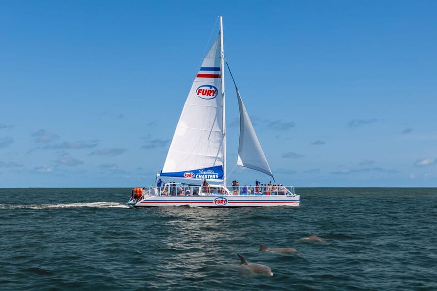 St. Augustine: Dolphin Watching Harbor Tour with Drinks - Hunting for bottlenose dolphins near the bridge