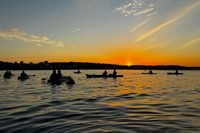 Sunrise Serenity Kayak Tour of Sydney Harbour - Sydney Harbour Bridge is the main event