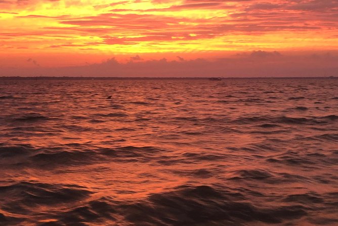 Sunset Dolphin Watching Cruise in Destin Harbor - Who will enjoy this cruise most?