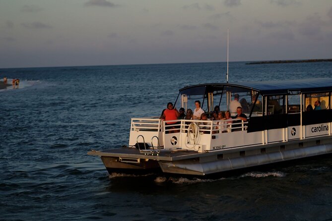 Sunset Harbor Cruise Tour - Dolphins, turtles, and seabirds along the route