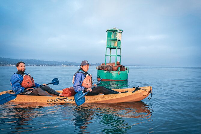 Sunset Kayak Tour in Santa Barbara Harbor (2 Hours) - Double kayaks, single kayaks, and comfort