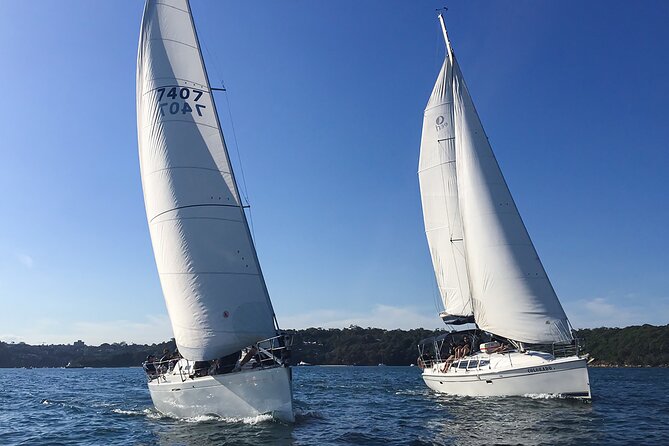 Sydney Harbour Sailing Experience - What the sailing lesson really adds
