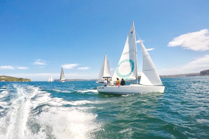 Sydney Harbour - Sailing Hands-On Experience - What the experience feels like for different people