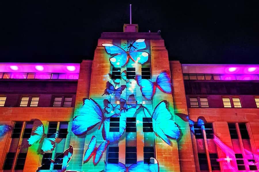 Sydney: Intimate Vivid Harbour Cruise with Canapes - Canapes, drinks, and the licensed bar