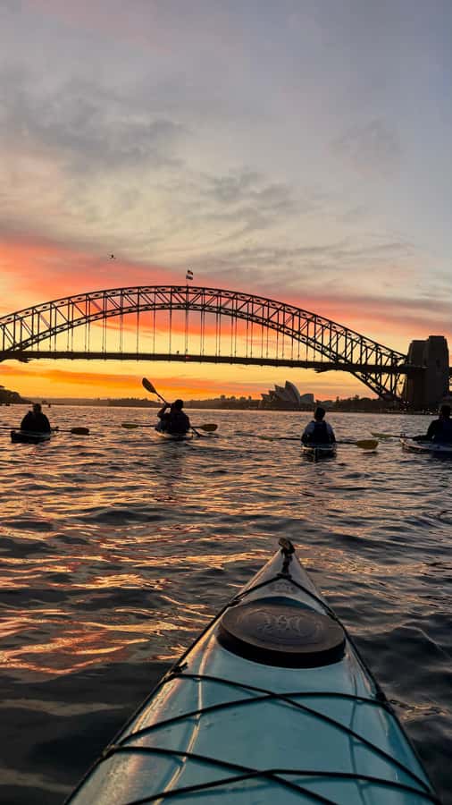 Sydney Sunrise Kayak Tour on Sydney Harbour - Who will enjoy this kayak tour most?