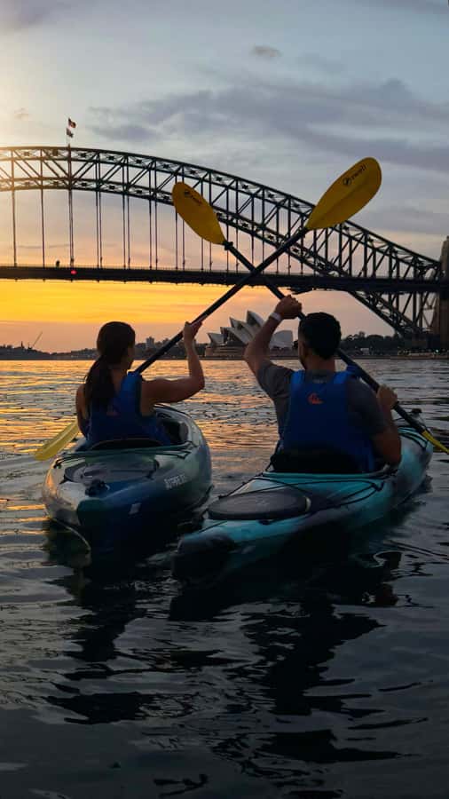 Sydney Sunrise Kayak Tour on Sydney Harbour - Sydney Harbour before the city wakes