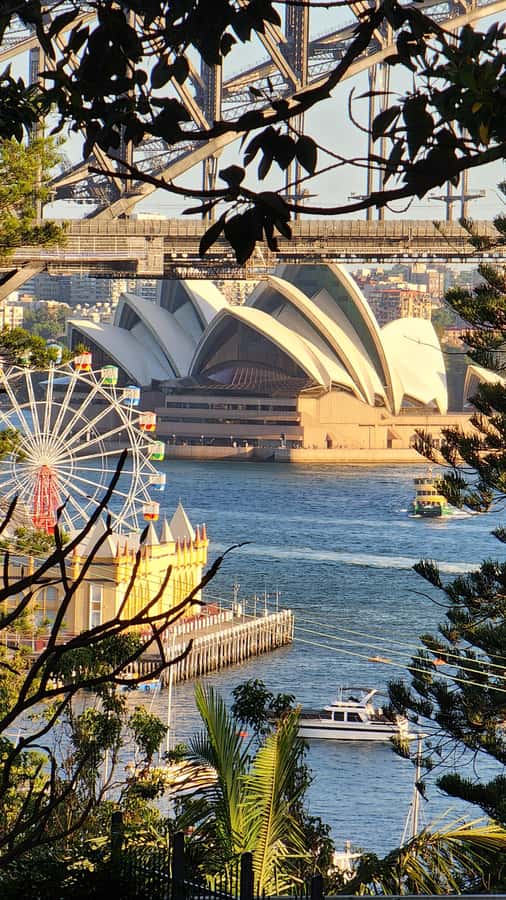 Sydney: Sunset Kayak - Opera & Harbour Bridge Tour (5p. max) - Returning to Lavender Bay