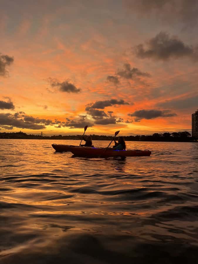 Sydney: Sunset Kayak Tour on Sydney Harbour - Friendly guides and an easy pace for beginners