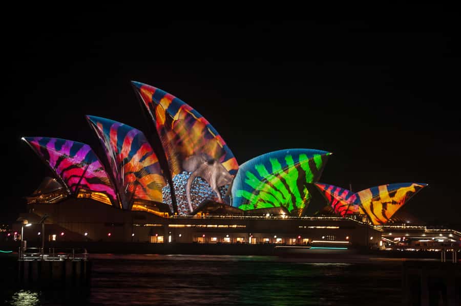 Sydney: Vivid Festival of Light Harbor Cruise with Dinner - Key things to know before you book