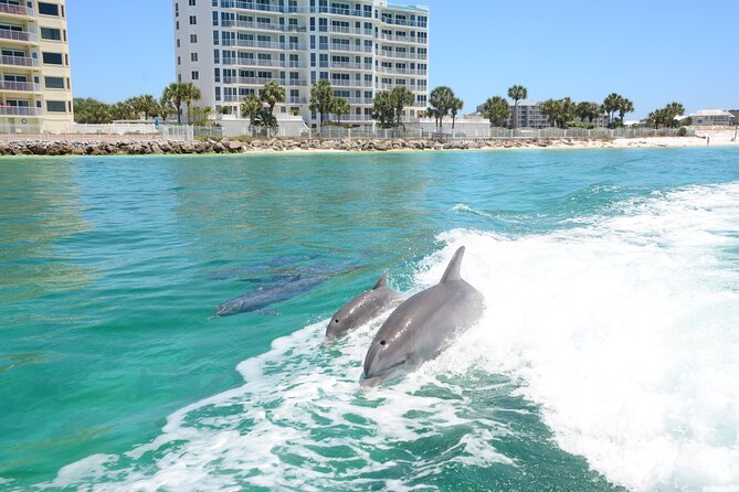 Thriller Sunset Dolphin Cruise in Destin Harbor - Who will enjoy the Thriller most?