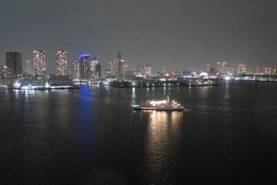 Tokyo Bay Cruise Adventure with options