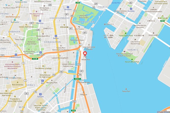 Tokyo Bay Cruise Adventure with options - Tea, coffee, appetizers, and the onboard pace