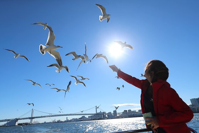 Tokyo: Scenic Bay Cruise with Local Guide on Private Boat - Meeting at Shibaura Dock