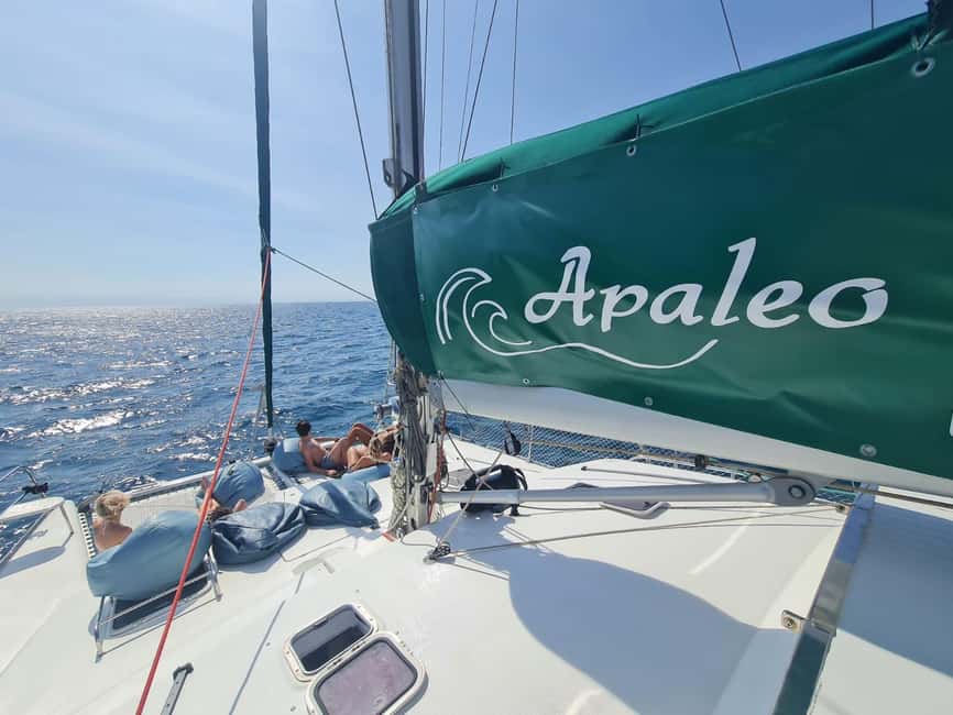 Torrevieja: Tour the harbor with the catamaran Apaleo - Setting out from Marina Salinas Pier F9