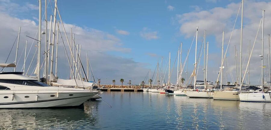 Torrevieja: Tour the harbor with the catamaran Apaleo - Fishing boats and the working side of Torrevieja