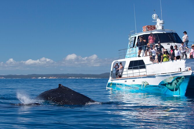 Twilight Bay Cruise in Hervey Bay - Is $39.45 good value for two hours?