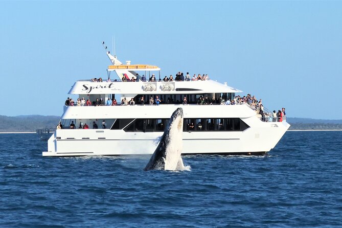 Twilight Bay Cruise in Hervey Bay - Who will enjoy the Twilight Bay Cruise most?