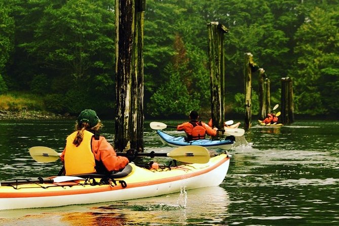 Ucluelet Harbour Tour - Key points before you book