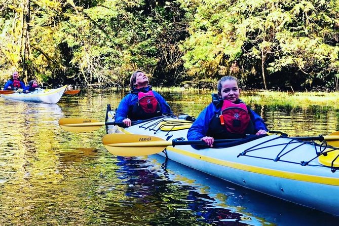 Ucluelet Harbour Tour - Looking for eagles, bears, and shorebirds