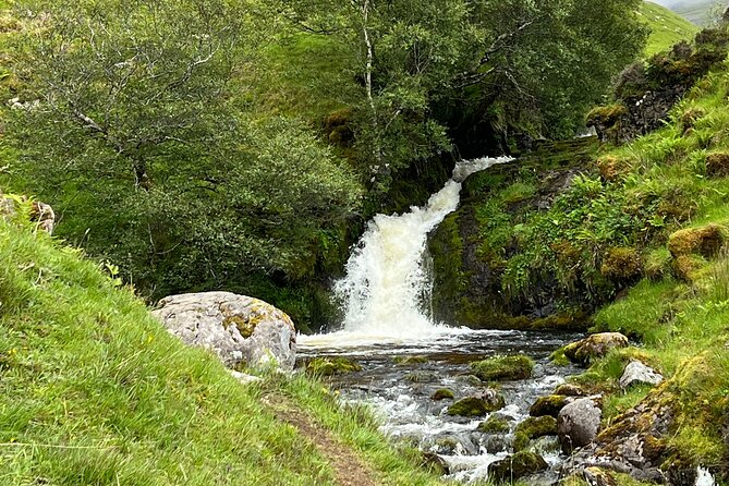 ULLAPOOL PORT Cruise Ship Tour, Ardvreck Castle, Rocks & More - Leckmelm’s quiet garden pause