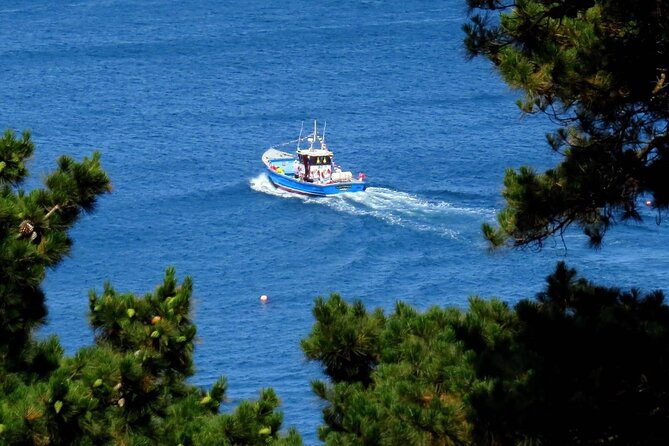 Unrivalled Coastal Tour to Saint's Bay Harbour - Saint’s Bay Harbour is the turning point