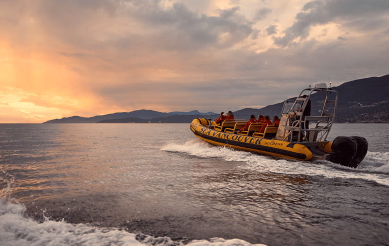 Vancouver: Waterfront Sightseeing Tour - City and Harbour - Kitsilano Beach, Spanish Banks, and English Bay